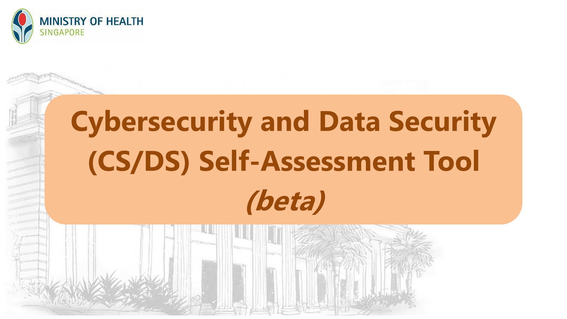 Thumbnail with the text "Cybersecurity and Data Security (CS/DS) Self-Assessment Tool (beta)", intended for the corresponding announcement.